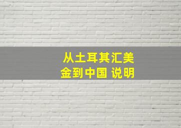 从土耳其汇美金到中国 说明